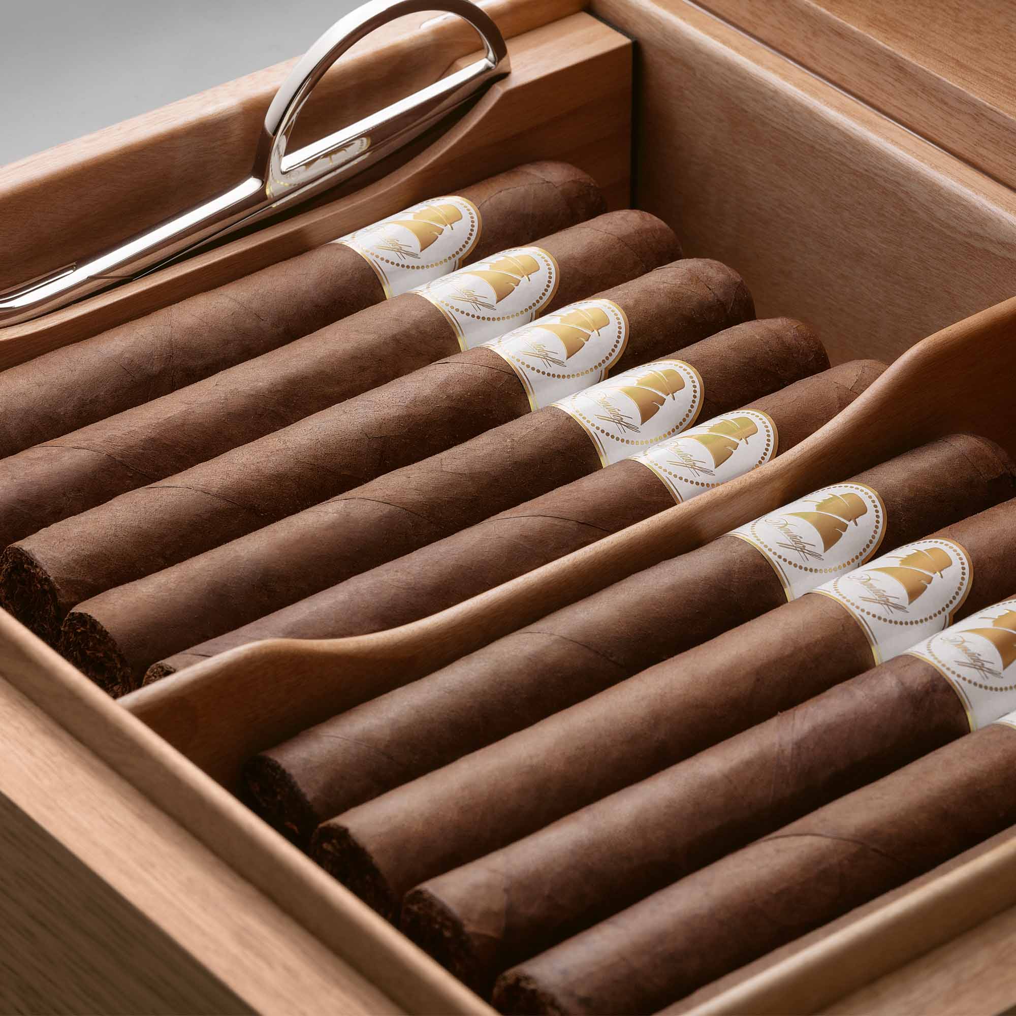 Davidoff Winston Churchill Raconteur Primos Davidoff Winston Churchill Raconteur Primos